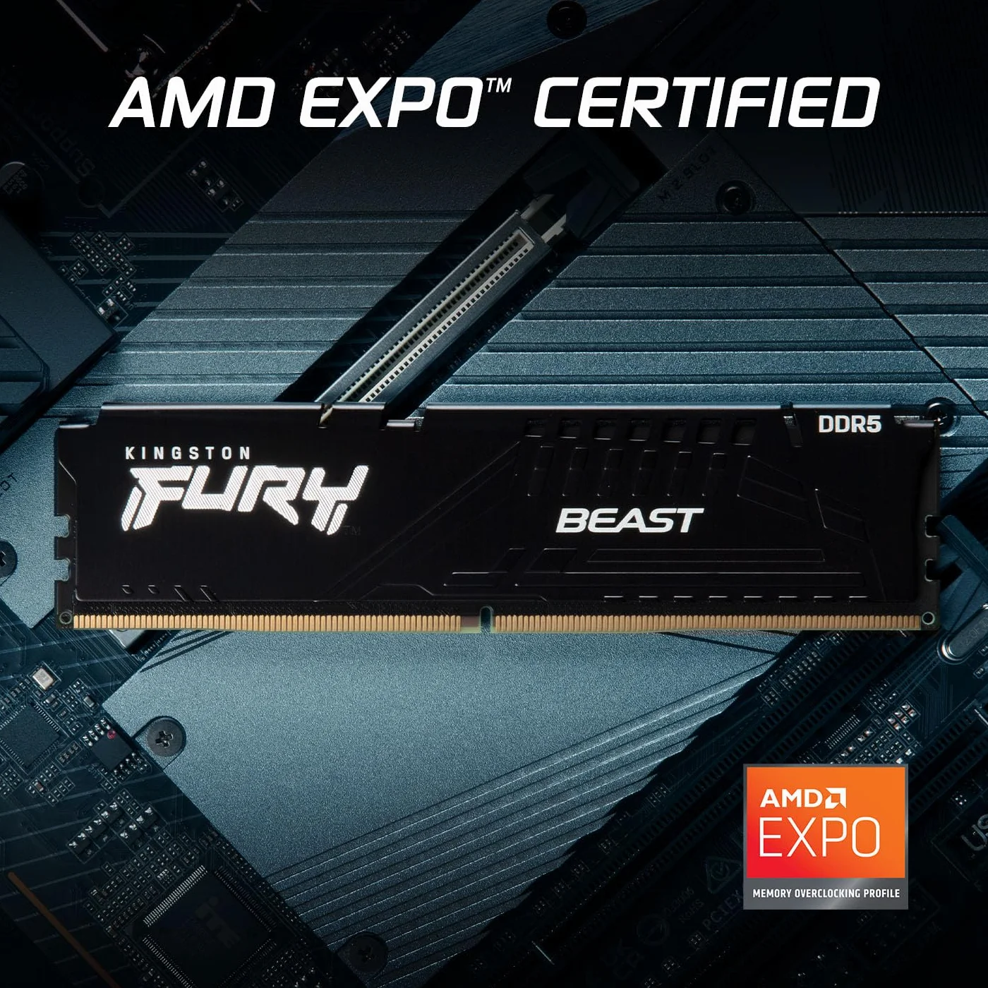Kingston FURY Beast Nero DDR5 32GB (2x16GB) 6000MT/s CL36 DIMM Memoria Gaming per Computer Fissi Kit da 2 AMD EXPO e Intel XMP - KF560C36BBE2K2-32