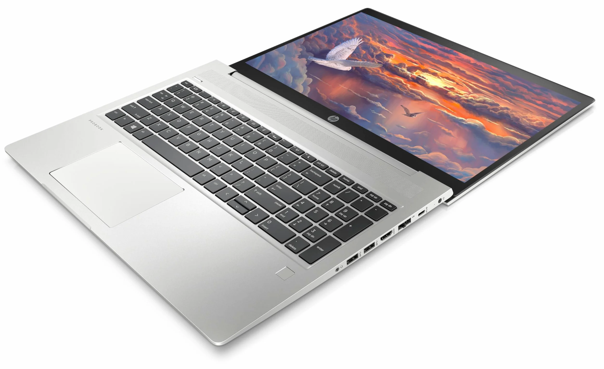 HP ProBook 450 G6 Computer Portatile Professionale, 15,6 Pollici FHD (1920 x 1080), Intel Core i5-8265U, 16 GB di RAM, SSD da 256 GB, tastiera giapponese QWERTY, Windows 11 Pro (ricondizionato)