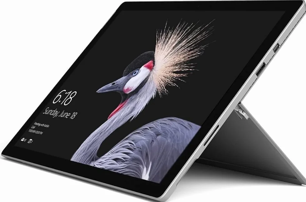 Microsoft Surface Pro 6 Intel Core i5-8250U 12,3" 8GB RAM 128GB SSD Platino Ricondizionato