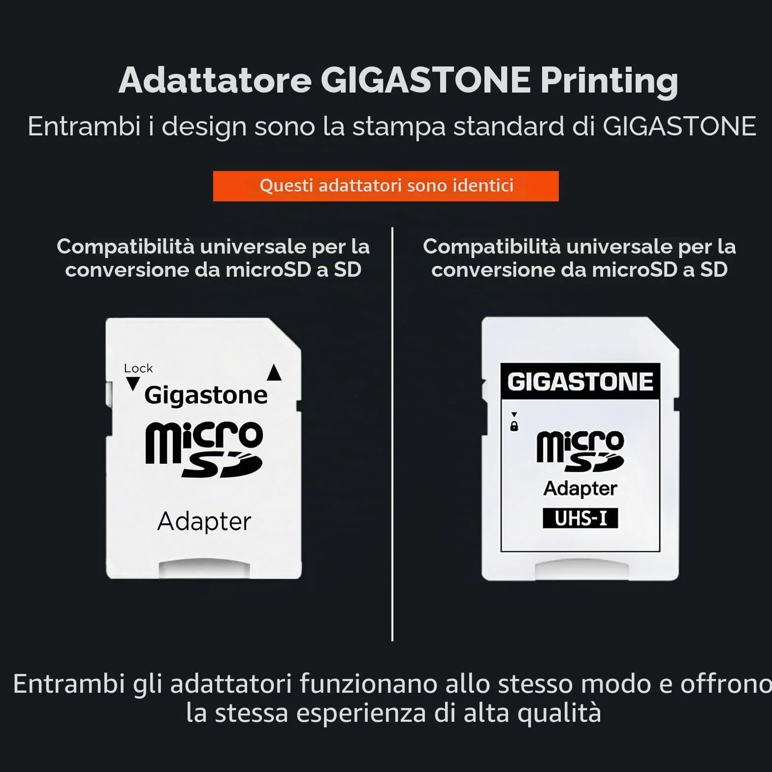 GIGASTONE Micro SD 128 GB, Camera Plus, Set da 2, A1 U1 C10 UHS-1, Per GoPro Fotocamera Videocamera, Velocit? Fino a 100/60 MB/Sec(R/W), con Adattatore Scheda SD