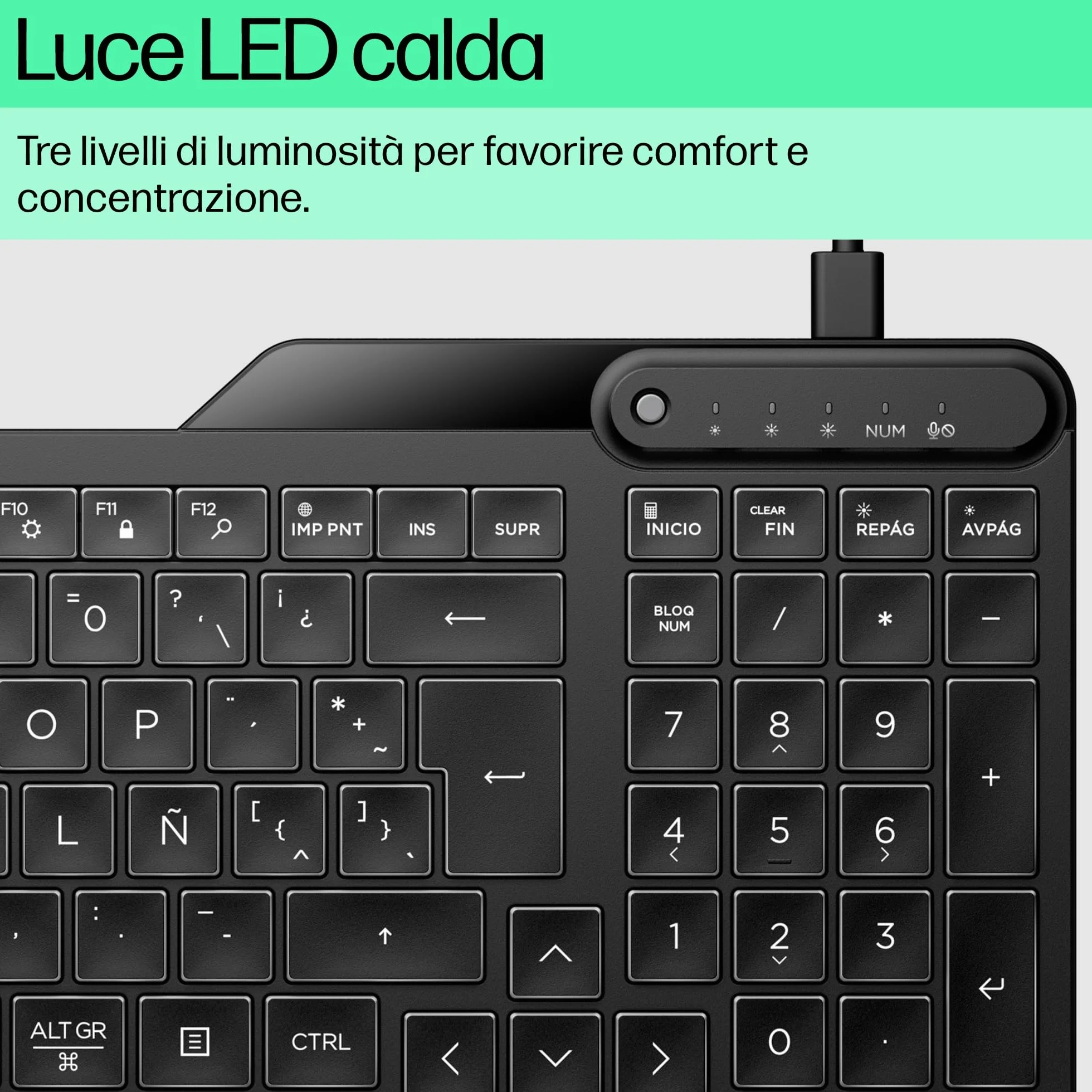 HP 400 Tastiera Cablata, Connessione tramite USB-C e con Adattatore USB-A, Qwerty, 12 Tasti Programmabili, Retroilluminazione, Compatibile con Windows 10 e 11, Chrome OS, MacOS, Nera