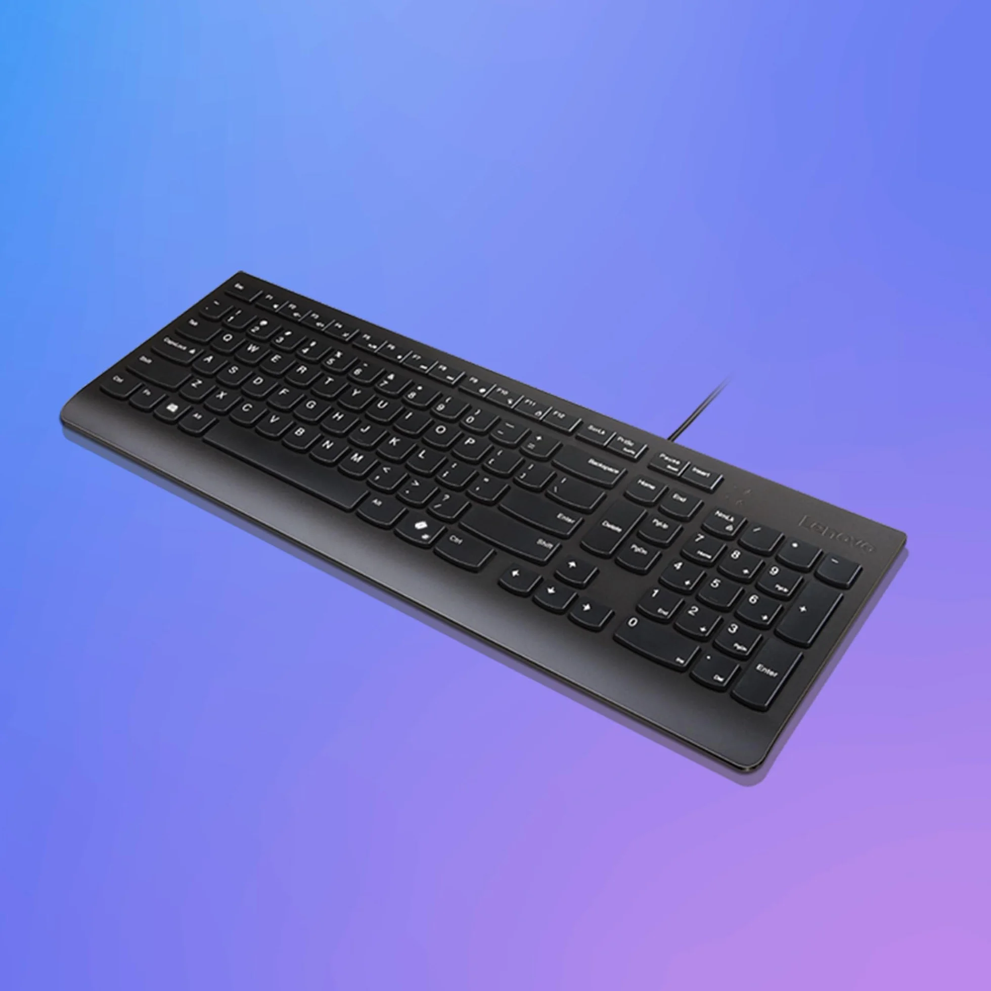 Lenovo Tastiera Cablata Essential – USB 1.8m, Layout 2.5 Zone con Tastierino Numerico, Tasti Silenziosi, Design Anti-Schizzi, Tasto Microsoft Copilot – Nero