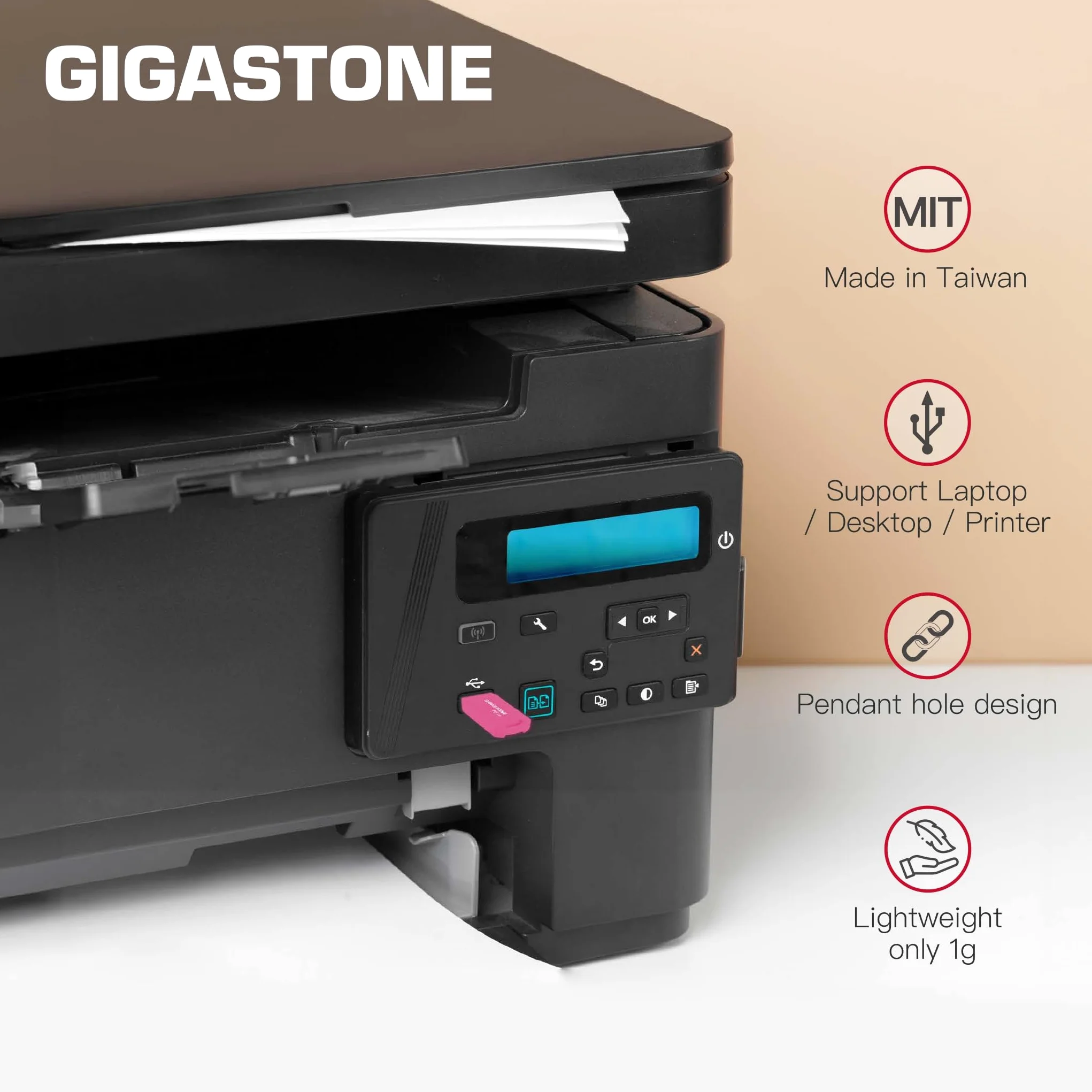 Gigastone Chiavetta USB 64 GB Set da 10, V70 USB 2.0 Memorizzazione dei dati Serie, design portachiavi, compatibile con interfaccia USB 2.0