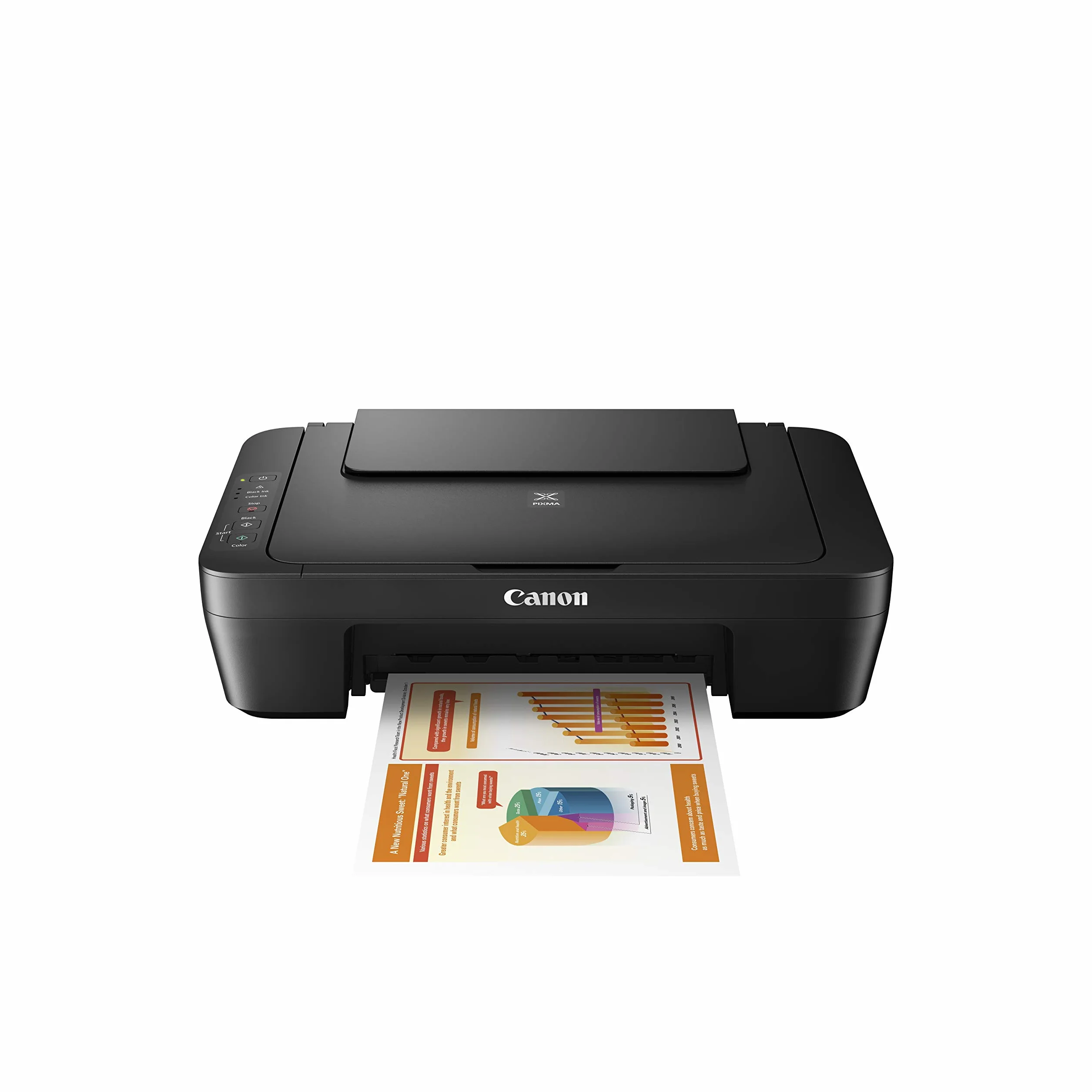 Canon Printer Drucker PIXMA MG2550s (0727C006)
