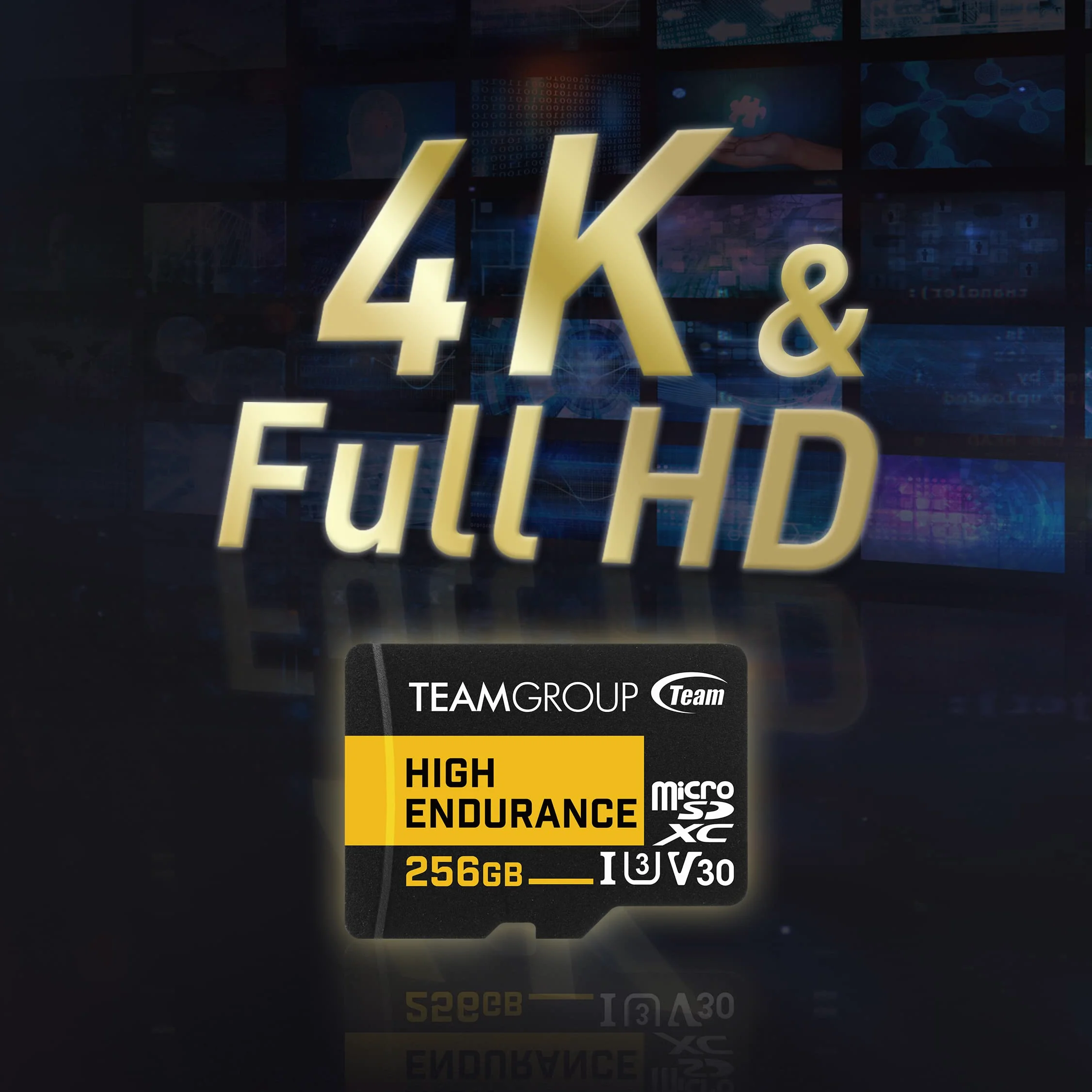 TEAMGROUP High Endurance 128 GB 2 Pack Micro SDXC UHS-I U3 V30 100MB/s Progettato per il monitoraggio stabile durevole lunga durata scheda di memoria flash telecamera di sicurezza 4K e registrazione
