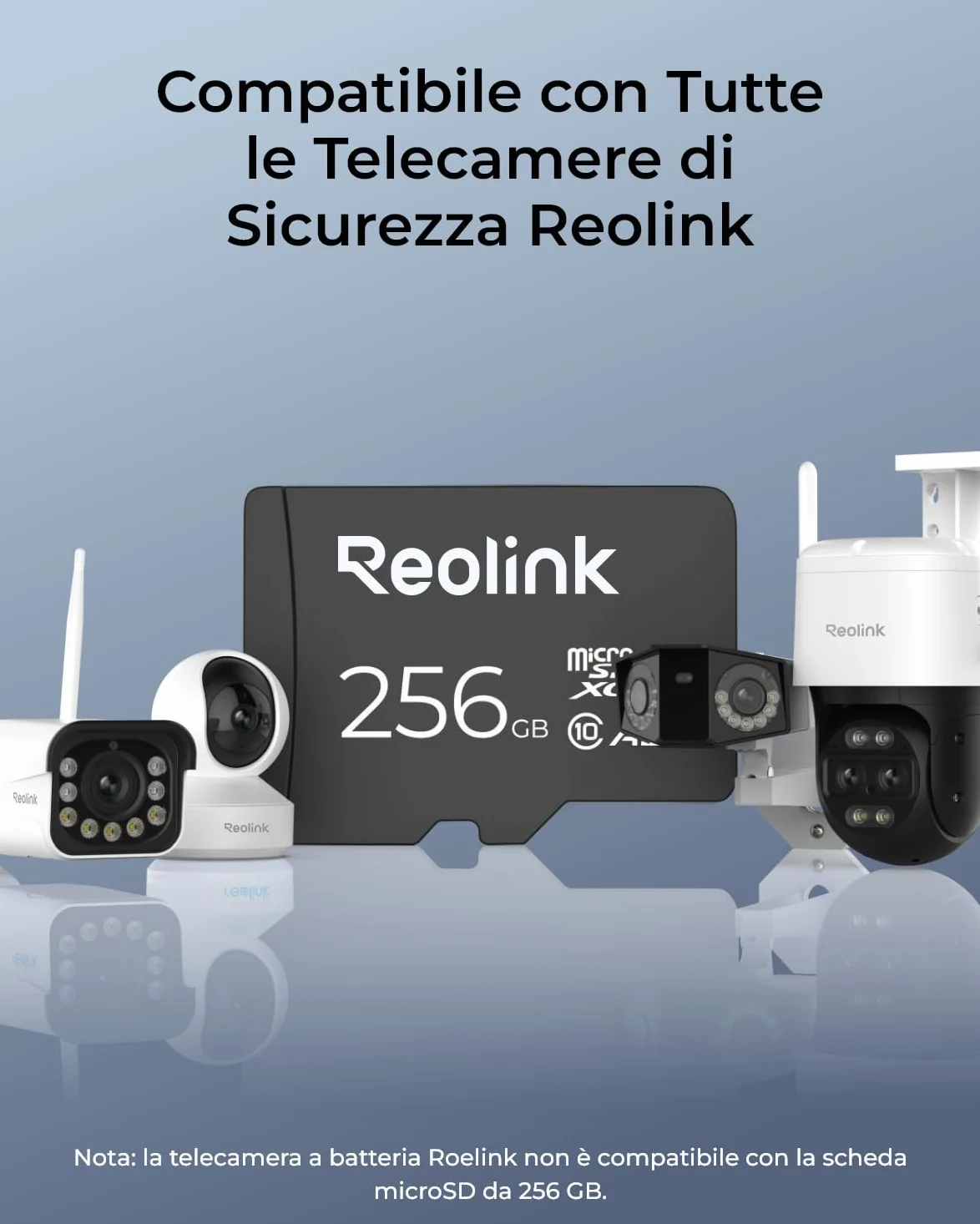 Reolink 256GB Scheda di Memoria MicroSDHC ad Alta Velocità, Classe 10, Scheda di Memoria A2 U3, Compatibile con Telecamera di Sicurezza Reolink