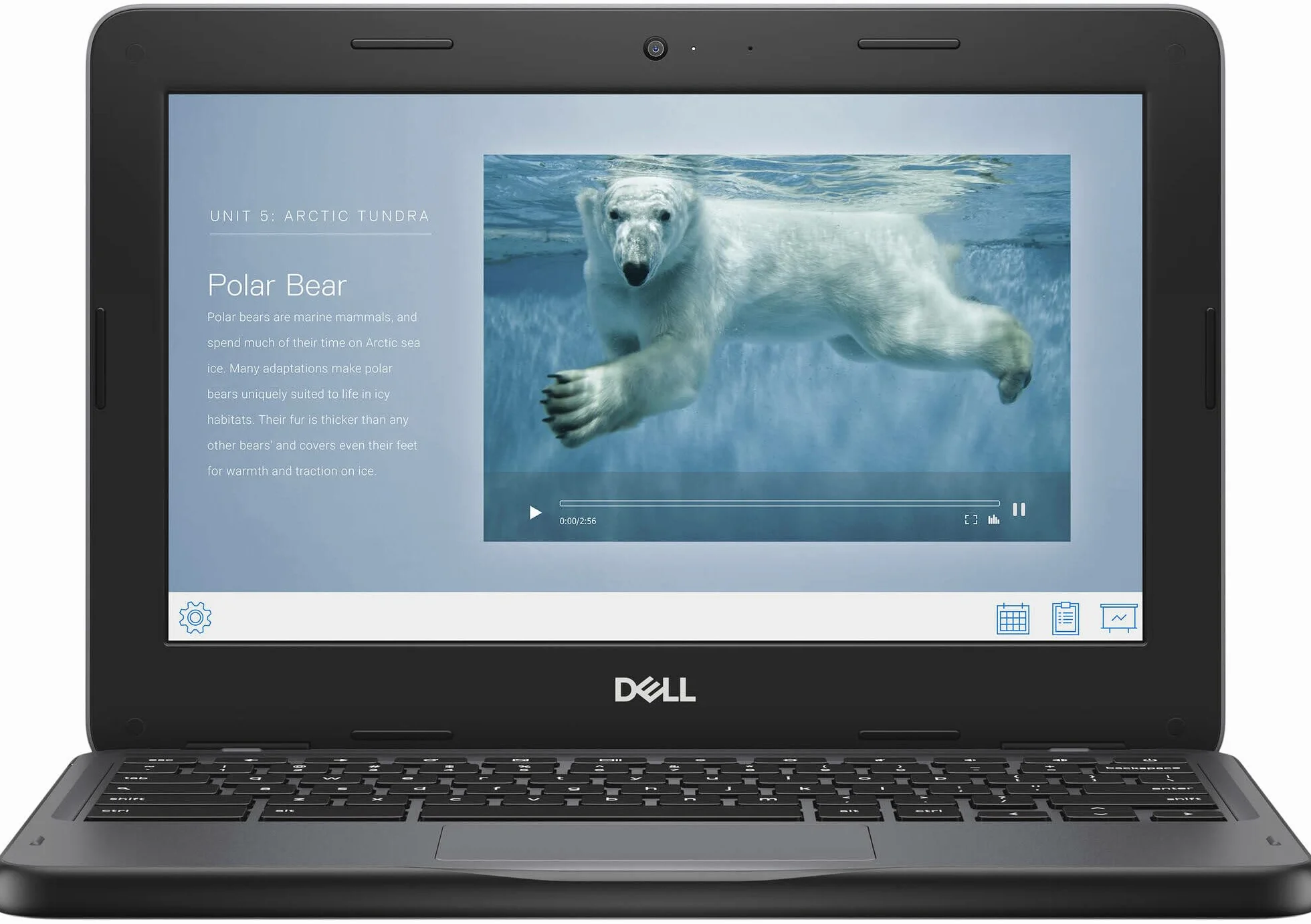 Dell Chromebook 3110 Laptop Display HD 11,6" (1366 x 768), processore Intel Celeron N4500, 4 GB di RAM, eMMC 32 GB, tastiera QWERTY americana, Windows 11 Pro (ricondizionato)