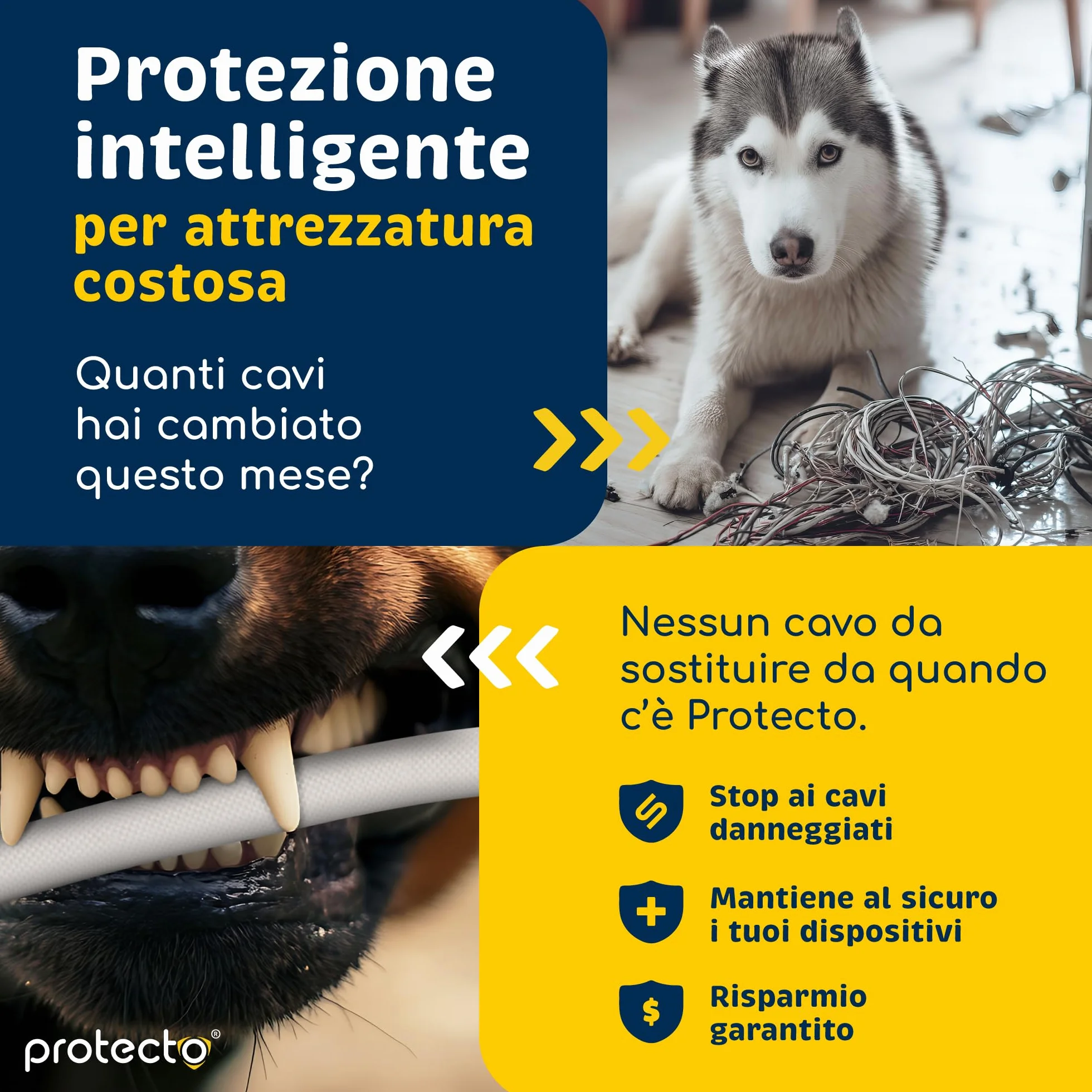 PROTECTO Protezione per cavo resistente per cani e gatti, diametro 1,27 cm, 3 m, facile da usare, per animali domestici, trasparente, inodore, colore bianco, soluzione senza masticazione