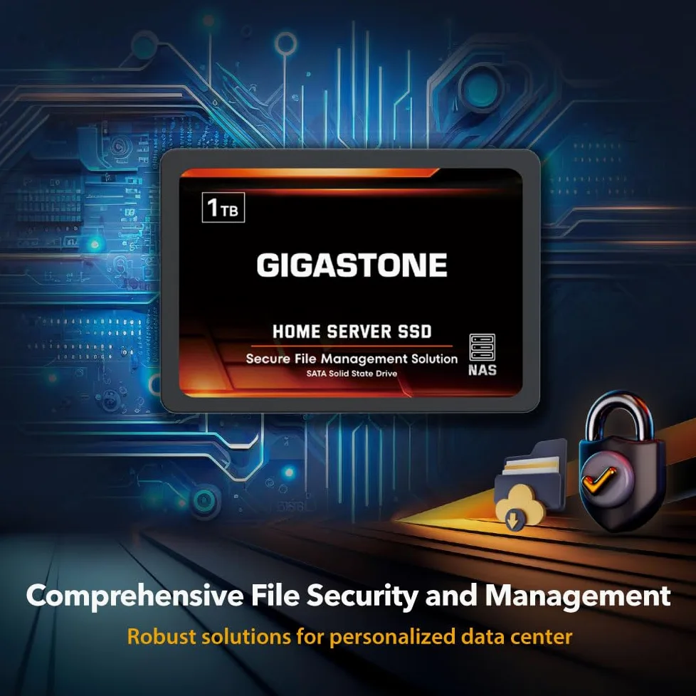 Gigastone Home Server SSD 4TB NAS SSD Drive Cache 24/7 Durevole Ad Alta Resistenza Sincronizzazione dati Cloud Personale Network Attached Storage RAID 3D NAND 2.5 "SATA Interni Hard Disk a stato