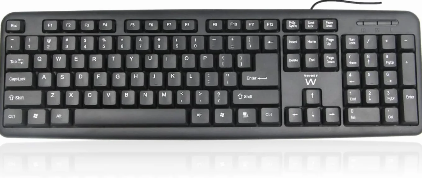 Ewent Tastiera Professionale USB Cablata, Layout Italiano QWERTY, Tastiera con filo per PC/Notebook/Laptop, Mac/Windows, nera