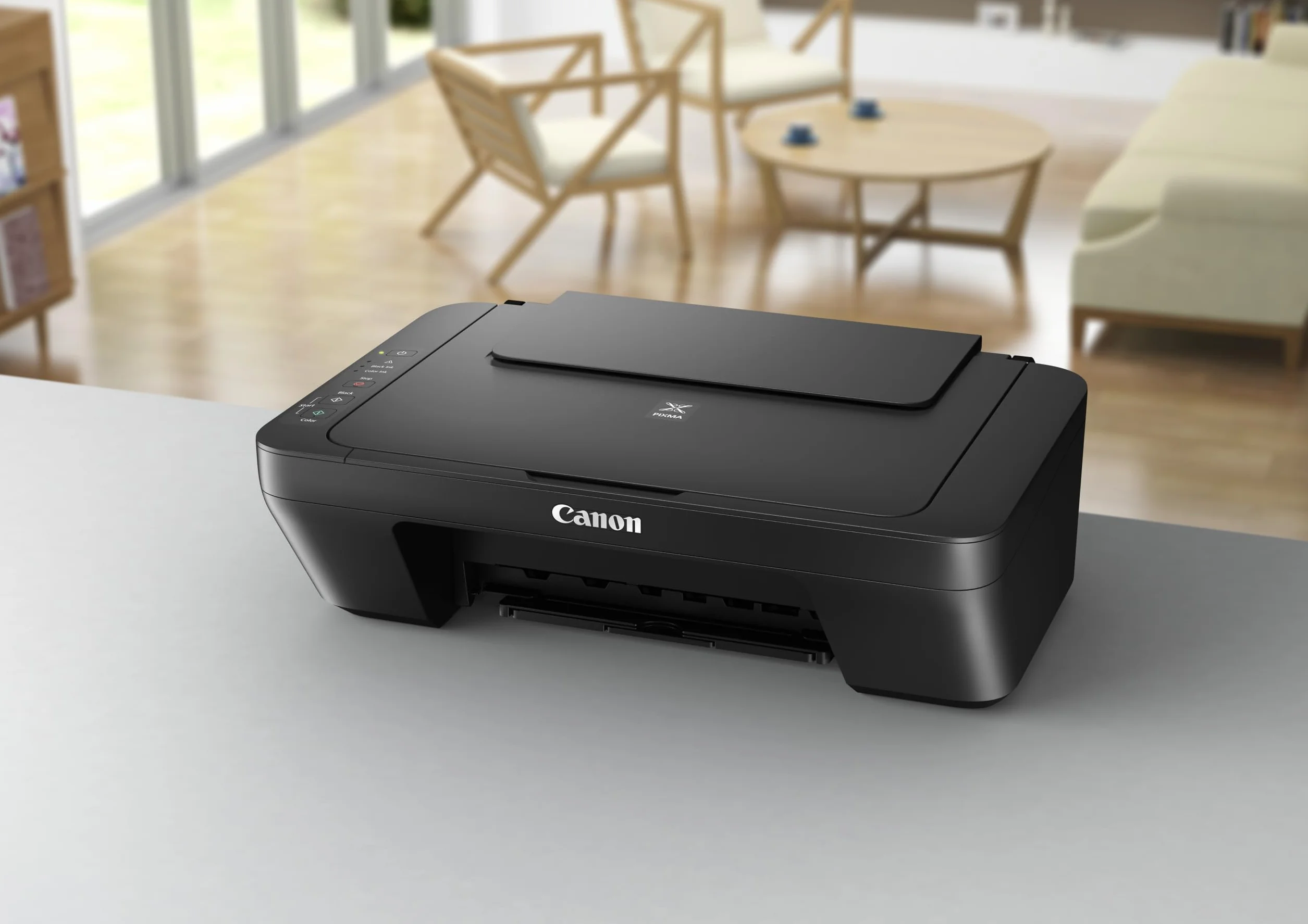Canon MG2550S Colore Ad inchiostro 4800 x 600 DPI A4