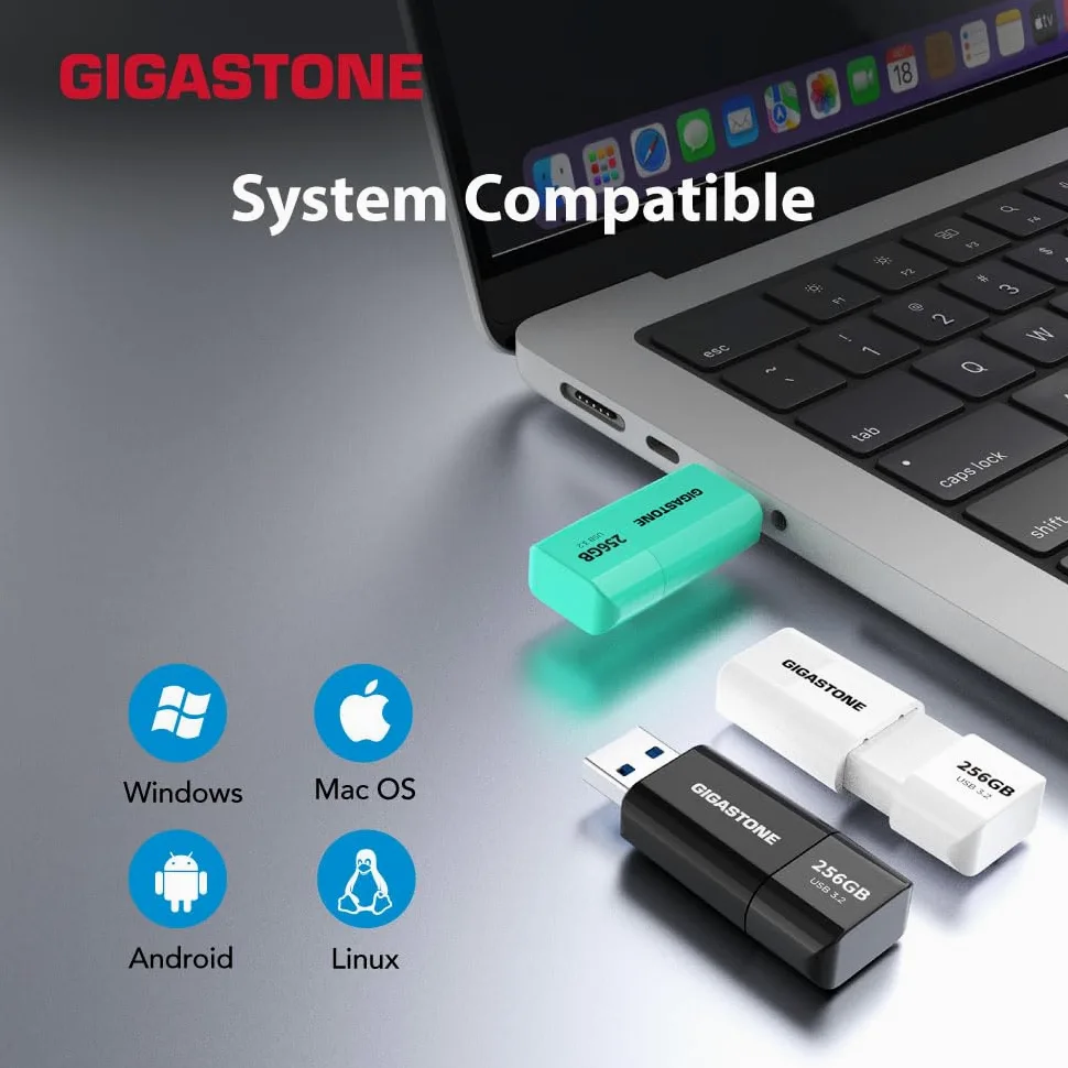 Gigastone Chiavetta USB 256 GB, Z60 USB 3.2 Gen 1 Serie, R/W 120/80 MB/s alta velocità, Senza cappuccio con design retrattile, compatibile con interfaccia USB 2.0 / USB 3.0 / USB 3.1
