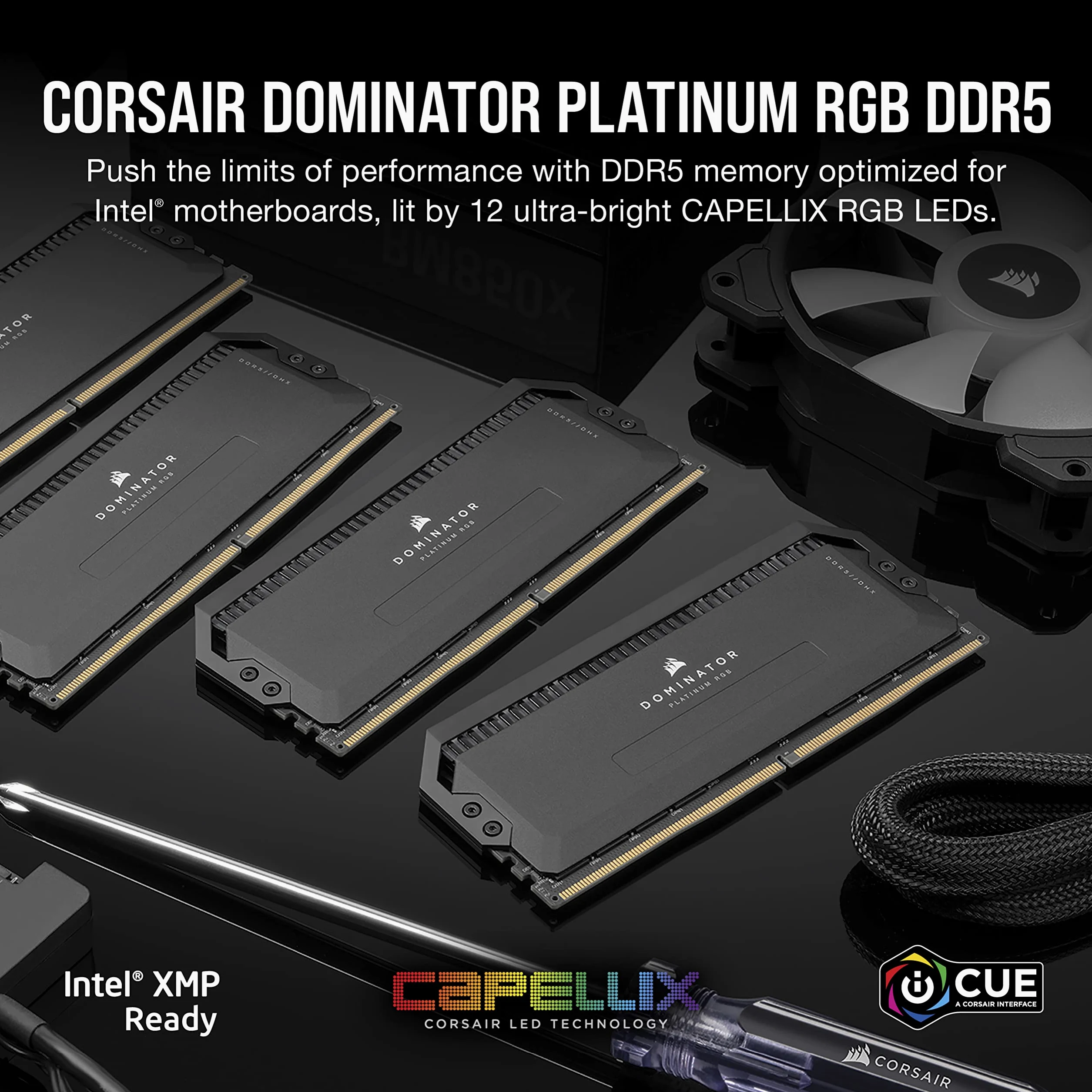CORSAIR DOMINATOR PLATINUM RGB DDR5 RAM 32GB (2x16GB) 6000MHz CL36 Intel XMP Compatibile ICUE Memoria Per Computer - Nero (CMT32GX5M2X6000C36)