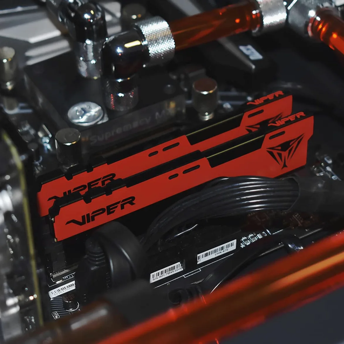 Patriot Memory Viper Elite II DDR4 3200 8GB (1x8GB) C18 Modulo di Memoria Gaming RAM XMP 2.0 Nero/Rosso