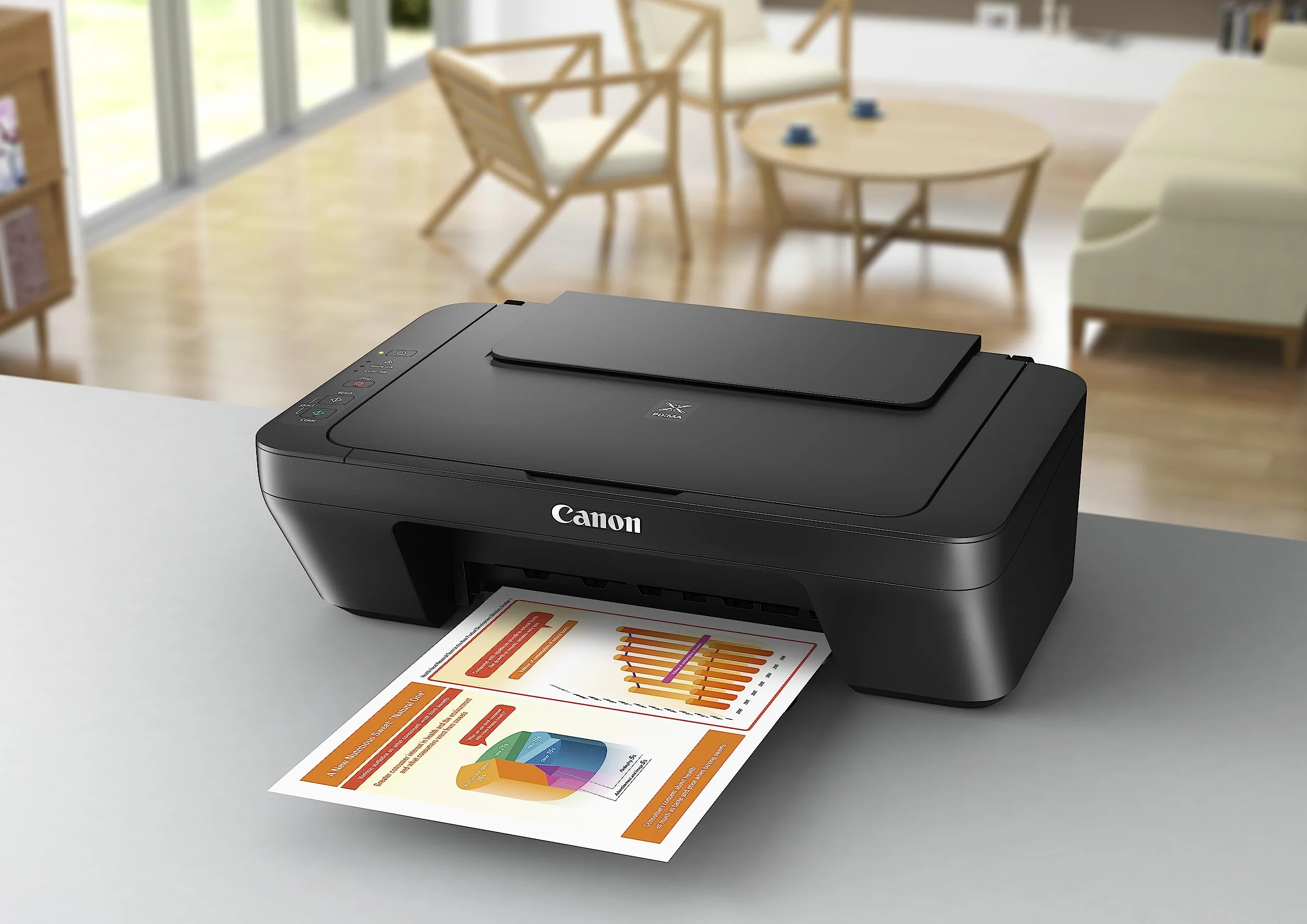 Canon MG2550S Colore Ad inchiostro 4800 x 600 DPI A4
