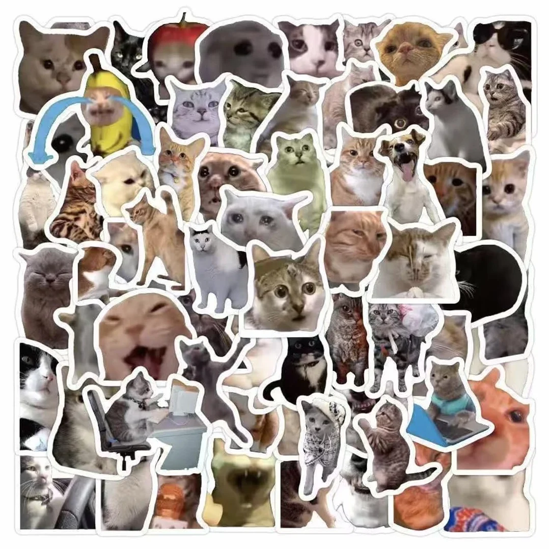 100 adesivi di meme di gatti, impermeabili e resistenti al sole, stampa ad alta definizione, stickers, stiker