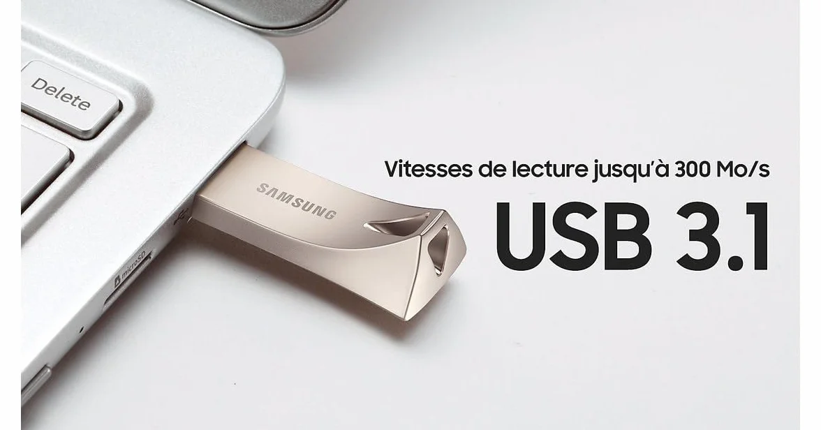 SAMSUNG - MEMORIES BAR PLUS CHAMPAGNE SILVER 256GB usb3.0