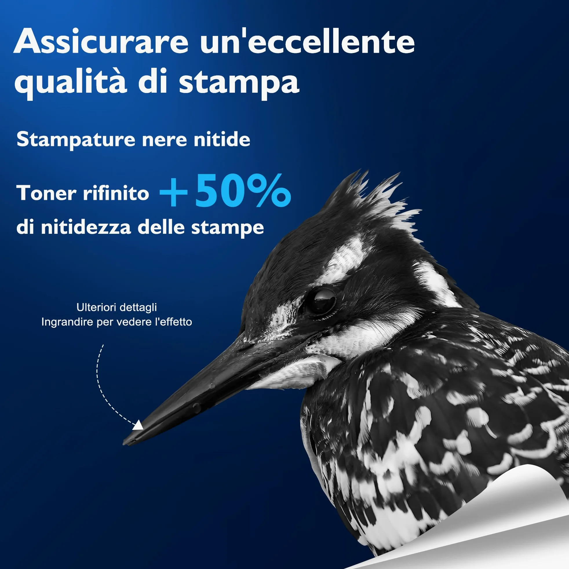 DR2400 Unità del tamburo Compatibile per Brother DR2400 DR-2400 tamburo per Brother DCP-L2530DW DCP-L2510D HL-L2350DW HL-L2310D HL-L2357DW MFC-L2710DW MFC-L2710DN MFC-L2730DW (2 Pacchetto)