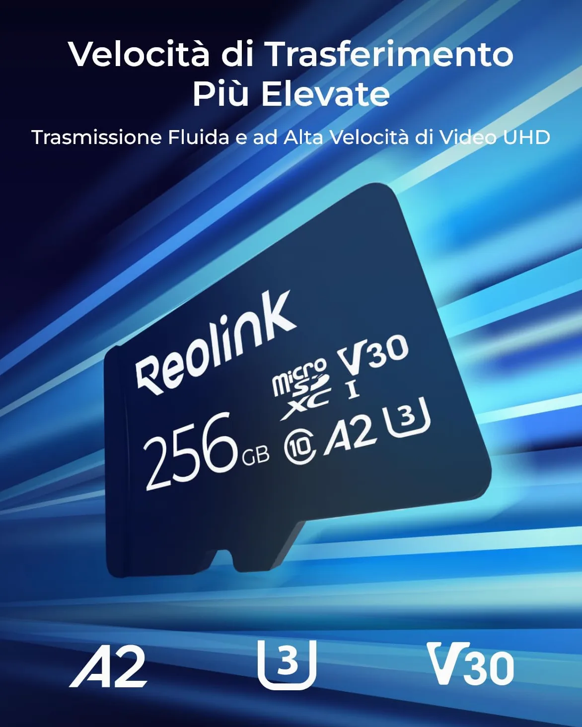Reolink 256GB Scheda di Memoria MicroSDHC ad Alta Velocità, Classe 10, Scheda di Memoria A2 U3, Compatibile con Telecamera di Sicurezza Reolink