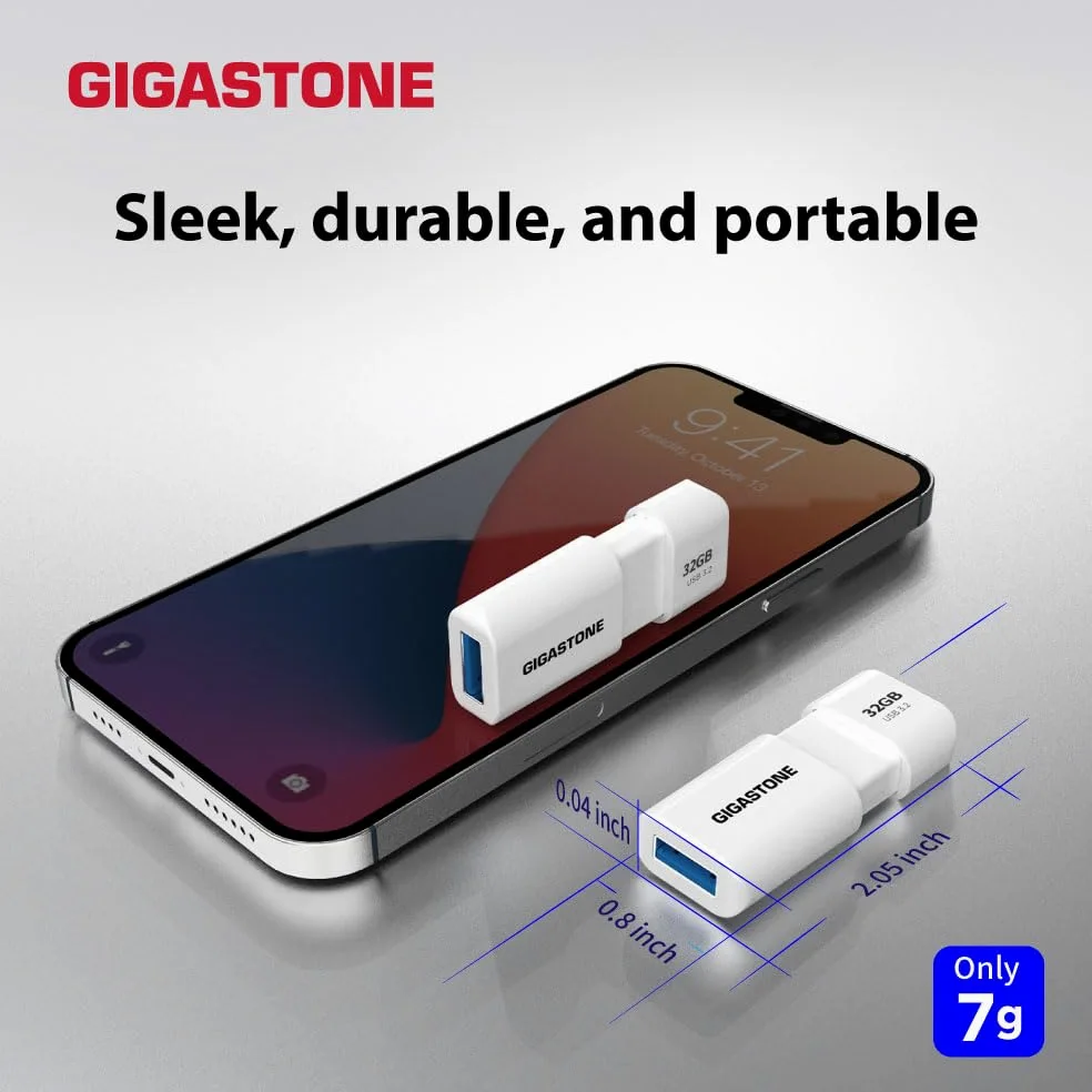 Gigastone Chiavetta USB 256 GB, Z60 USB 3.2 Gen 1 Serie, R/W 120/80 MB/s alta velocità, Senza cappuccio con design retrattile, compatibile con interfaccia USB 2.0 / USB 3.0 / USB 3.1
