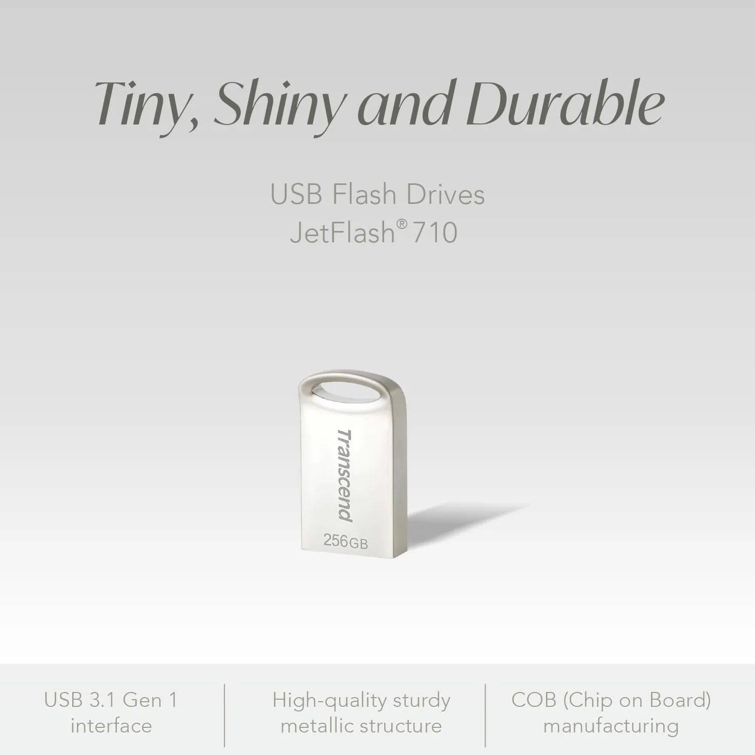 Transcend JetFlash da 256 GB, chiavetta USB compatta 3.1 Gen 1 (per portachiavi), colore argento - TS256GJF710S