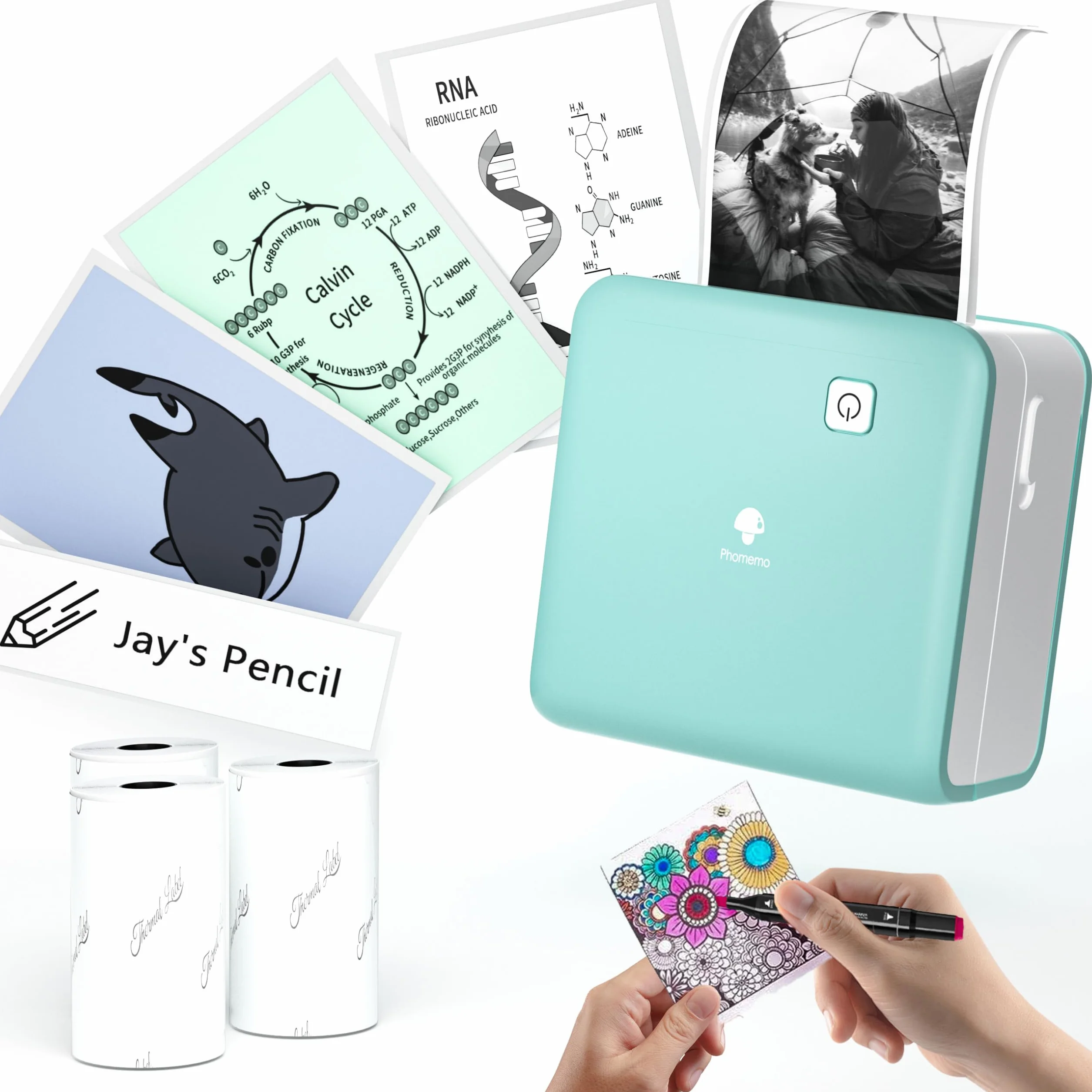 Phomemo M02 Pro Stampante Etichette Termica 300 DPI, Mini Stampante Fotografica con 3 Rotoli Carta