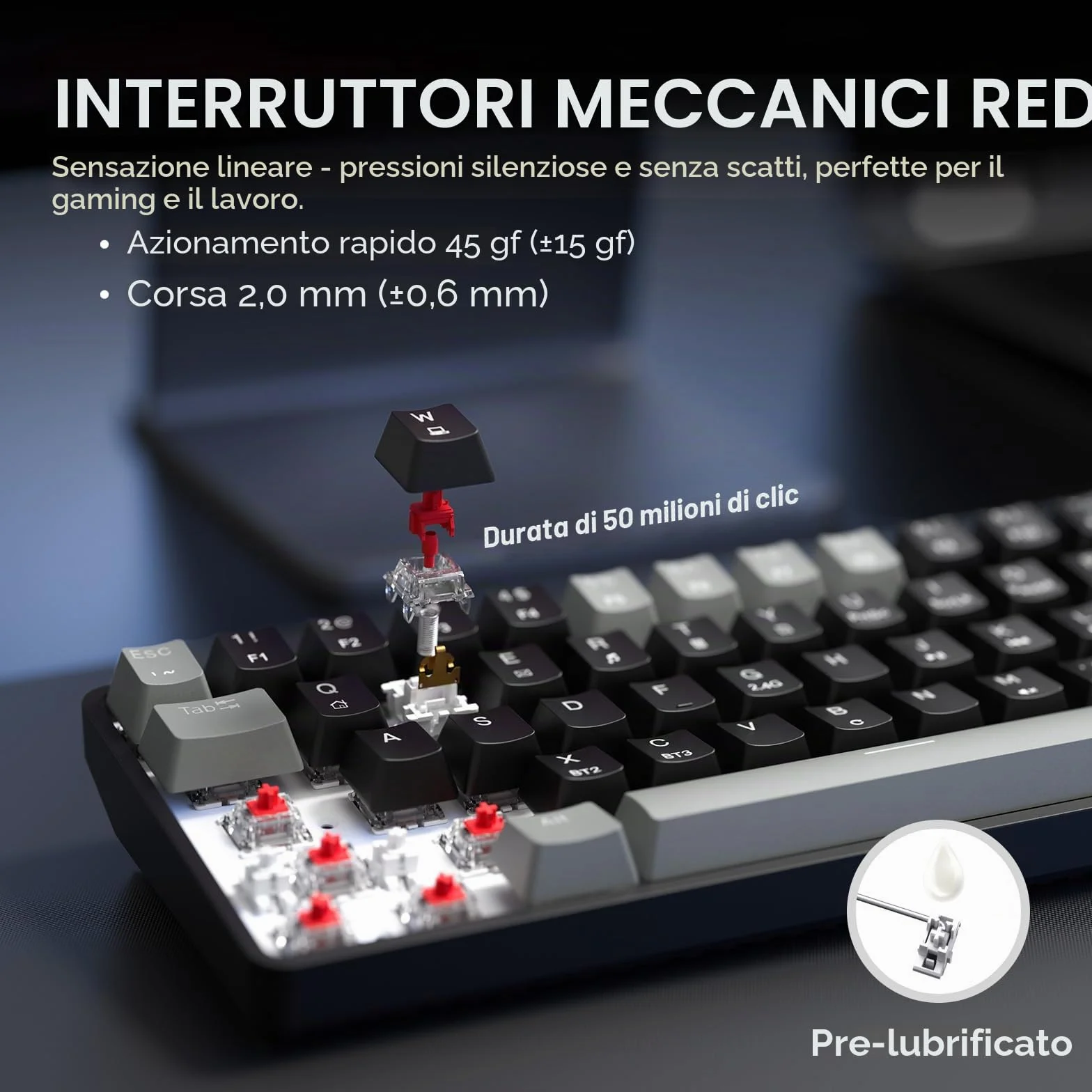 Dierya DK68 Tastiera Gaming Wireless,60% Tastiera Meccanica Bluetooth/2.4G/USB-C RGB,Interruttore Rosso,Double-Shot ABS Keycaps Compatibile con Win/Mac,Nero grigio-B(Layout US,QWERTY)