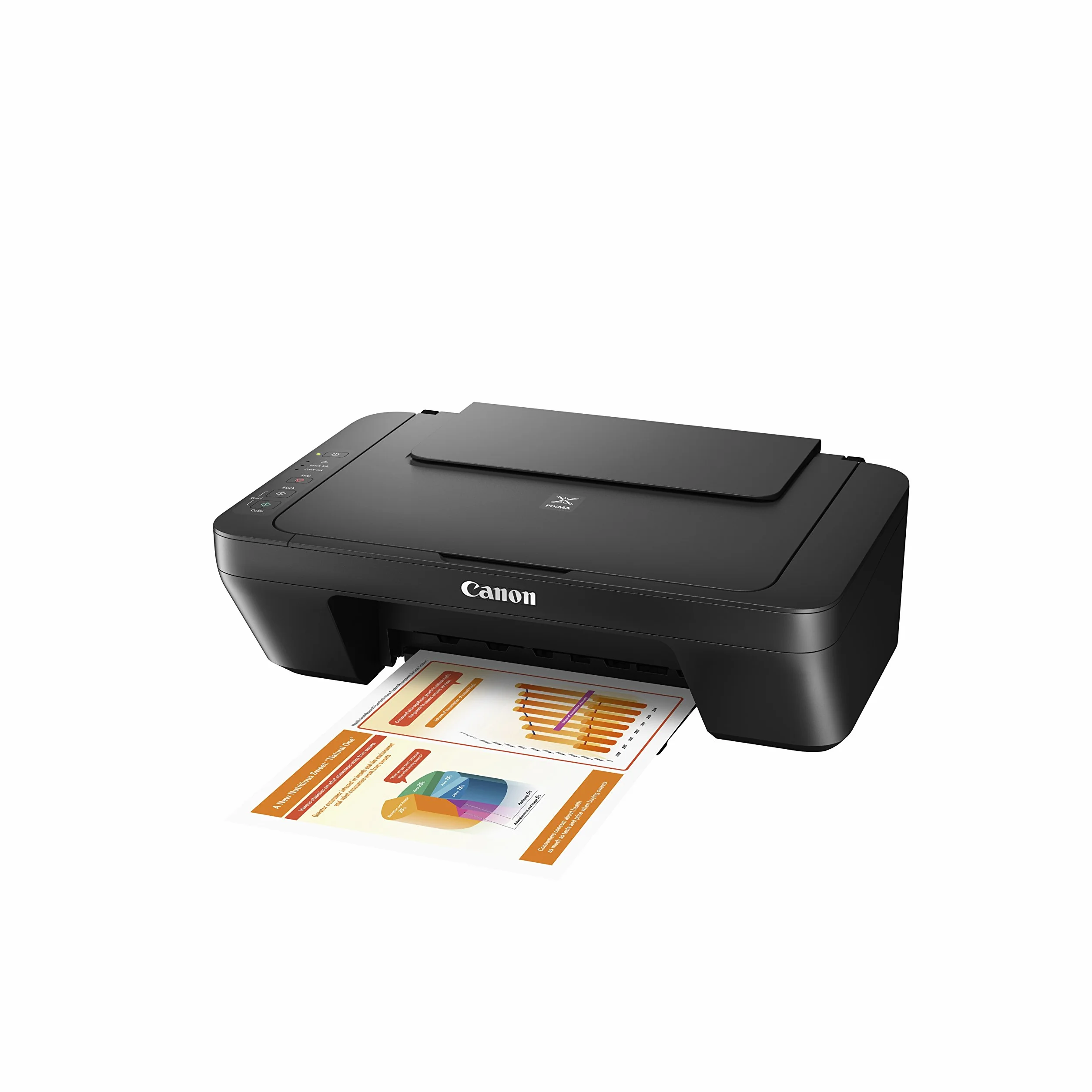 Canon Printer Drucker PIXMA MG2550s (0727C006)