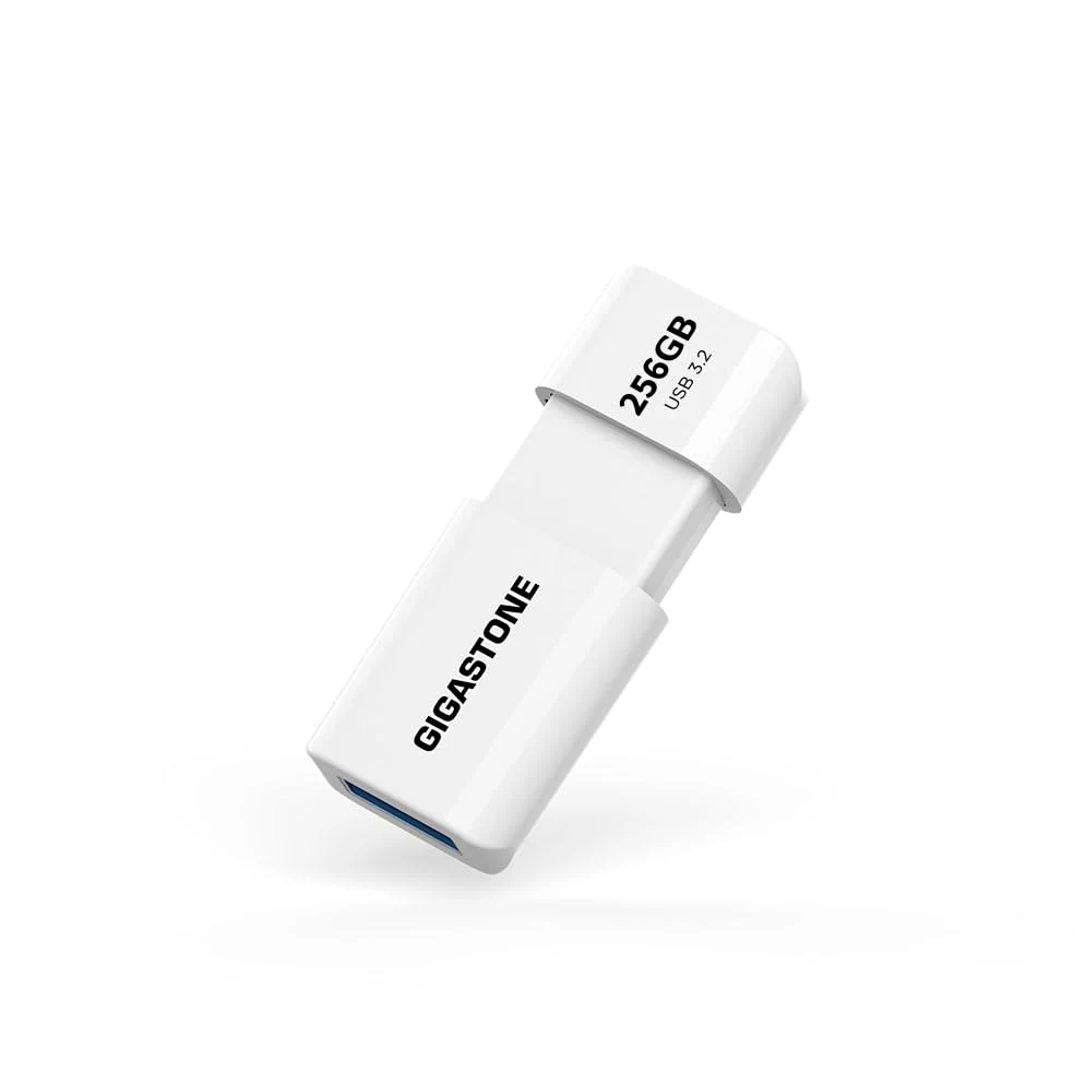 Gigastone Chiavetta USB 256 GB, Z60 USB 3.2 Gen 1 Serie, R/W 120/80 MB/s alta velocità, Senza cappuccio con design retrattile, compatibile con interfaccia USB 2.0 / USB 3.0 / USB 3.1