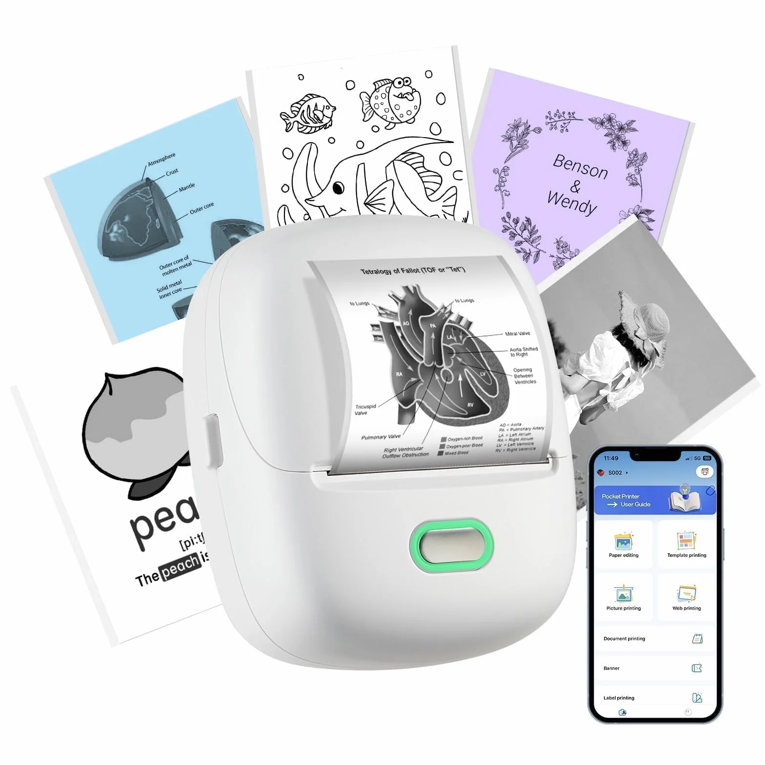ORGSTA S002 Etichettatrice Bluetooth Portatile Stampante Etichette 300 Dpi Compatibile iOS Android