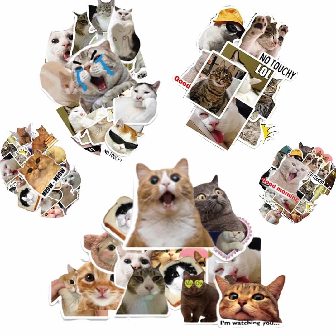 100 adesivi per meme, simpatici adesivi, divertenti adesivi per gatti, impermeabili, per laptop, telefoni cellulari, skateboard, bagagli, ecc