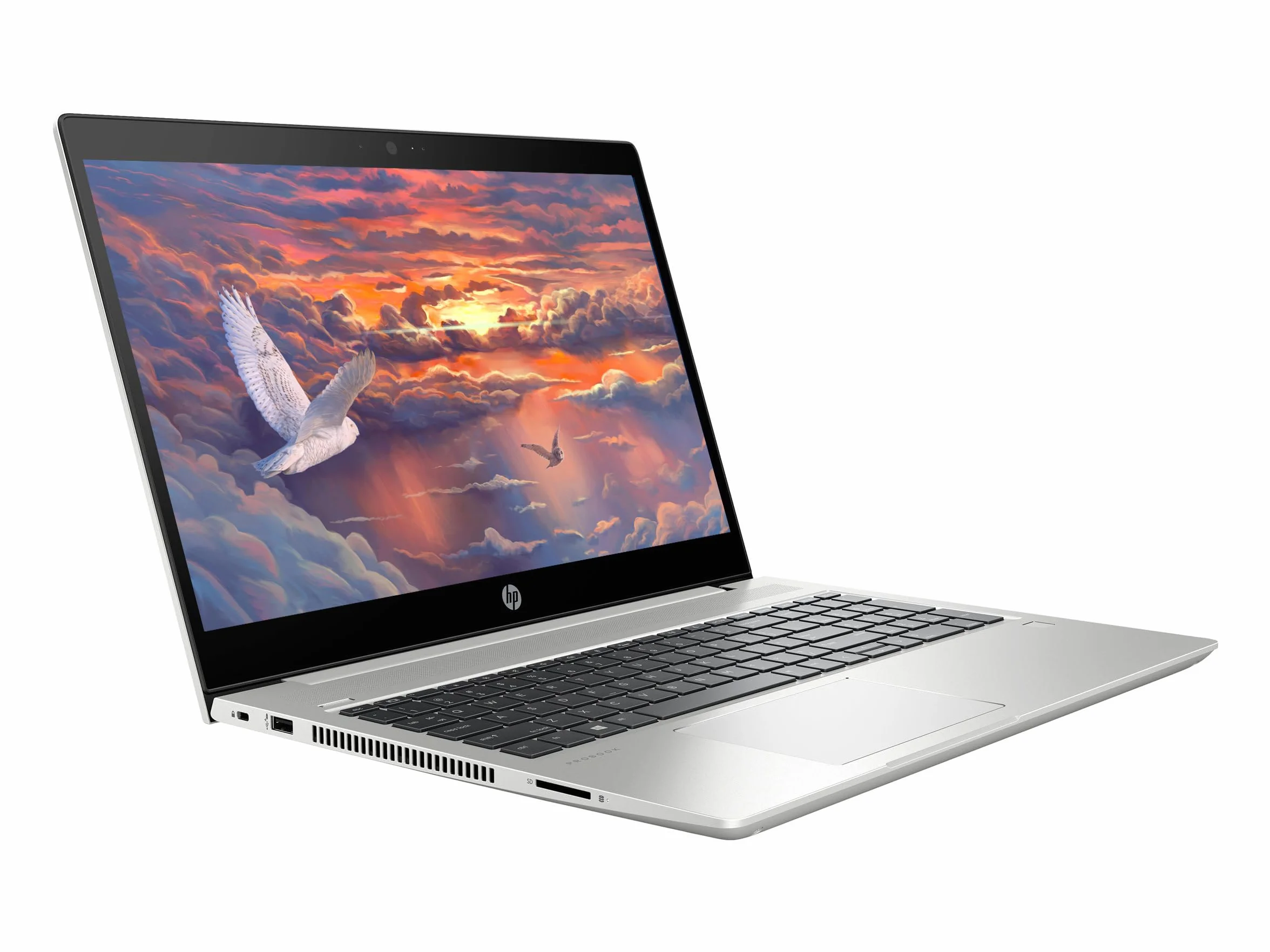 HP ProBook 450 G6 Computer Portatile Professionale, 15,6 Pollici FHD (1920 x 1080), Intel Core i5-8265U, 16 GB di RAM, SSD da 256 GB, tastiera giapponese QWERTY, Windows 11 Pro (ricondizionato)