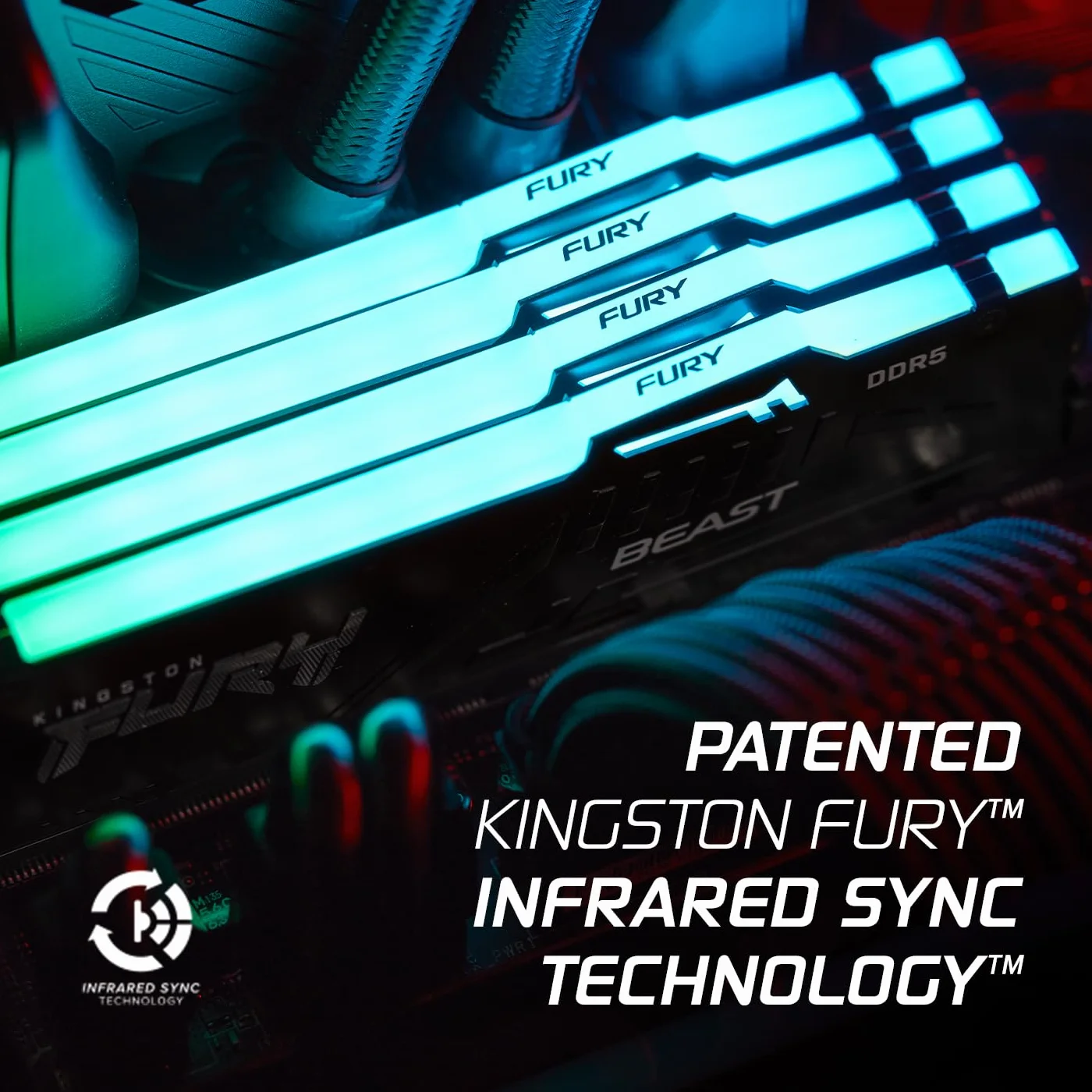 Kingston FURY Beast Nero RGB 16GB 6400MT/s DDR5 CL32 DIMM Memoria Gaming per Computer Fissi Modulo Singolo AMD EXPO/ Intel XMP - KF564C32BBEA-16