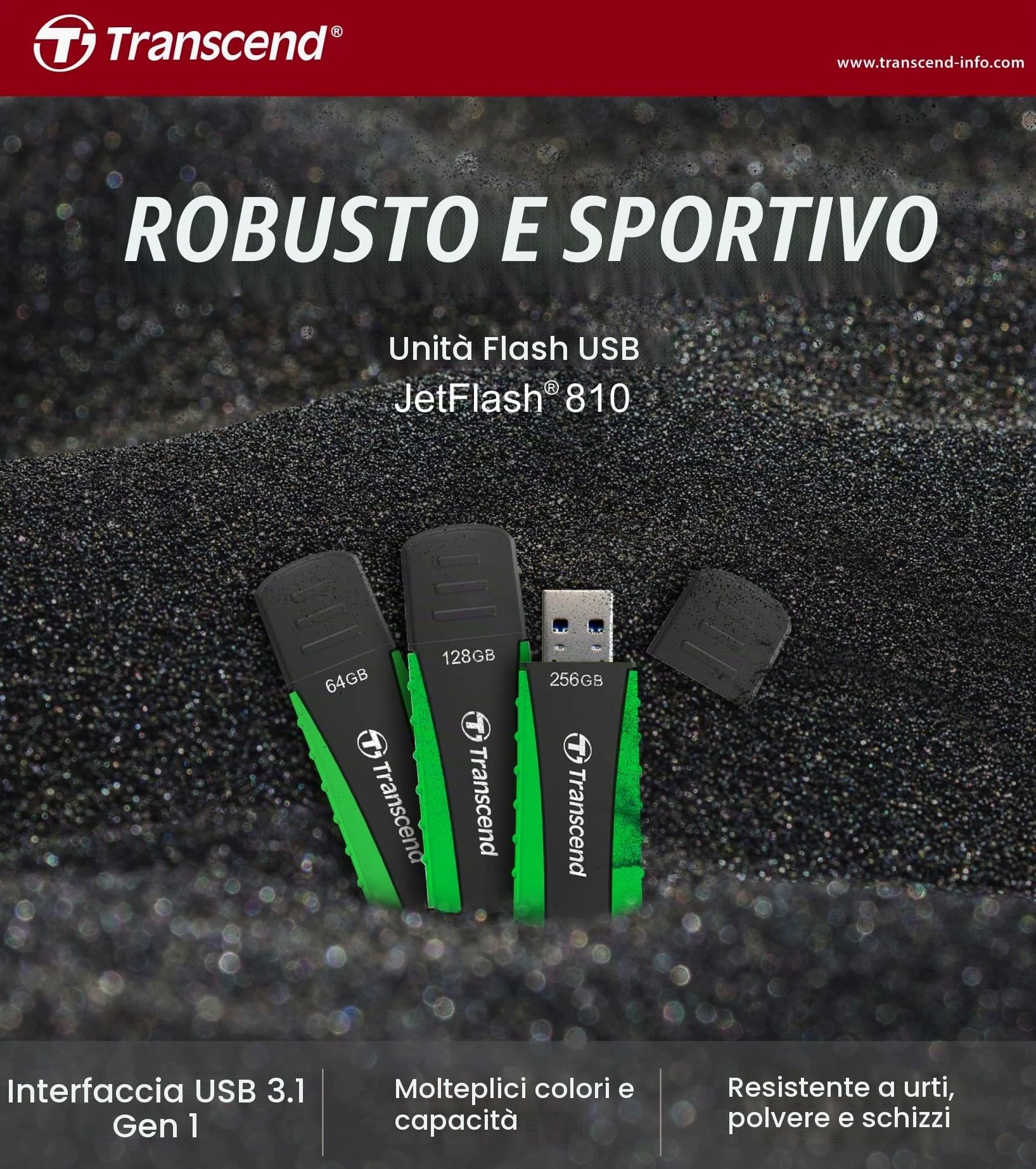 Transcend JetFlash 810 USB 3.1 Gen 1 da 256 GB, chiavetta USB robusta - TS256GJF810