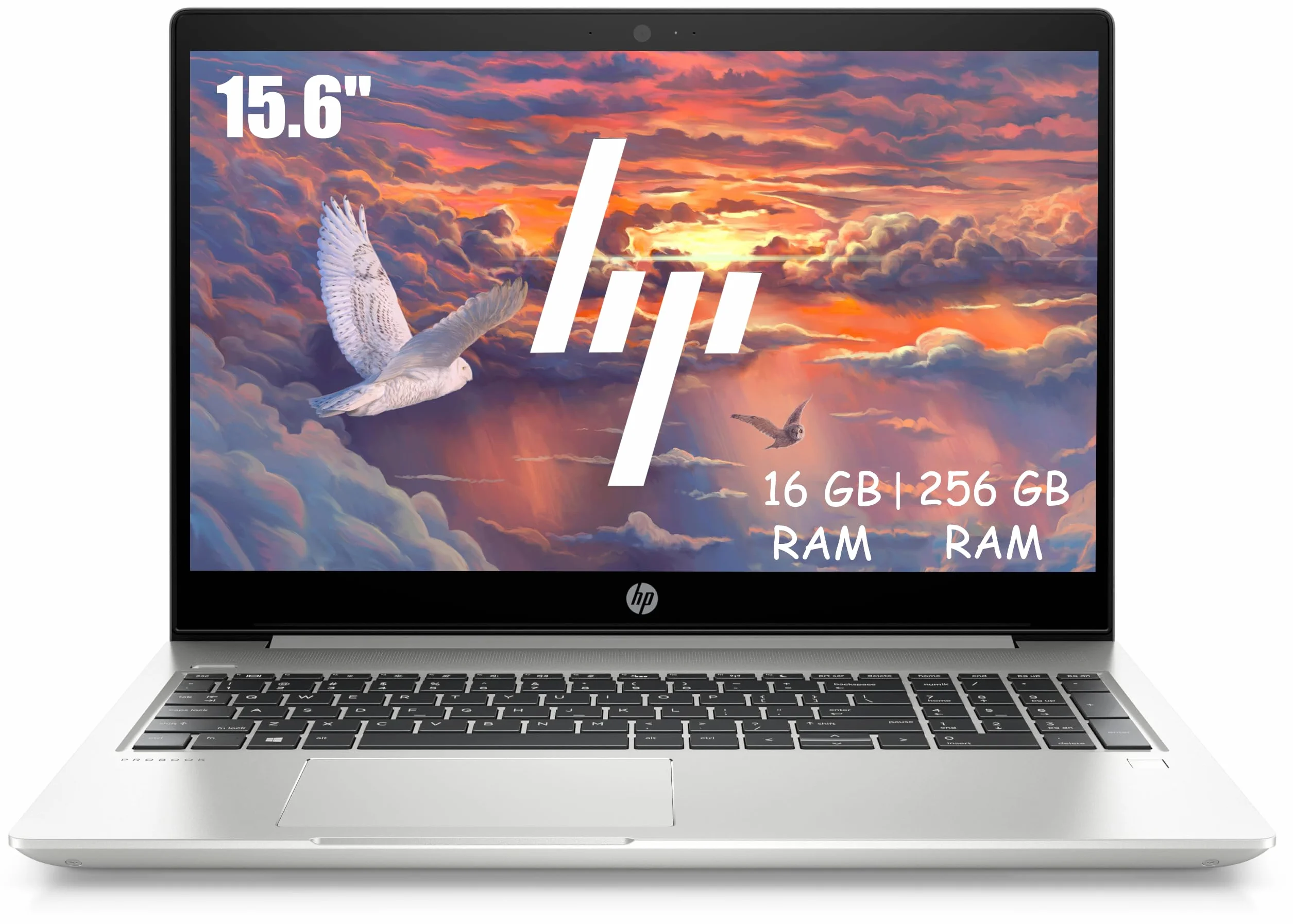 HP ProBook 450 G6 Computer Portatile Professionale, 15,6 Pollici FHD (1920 x 1080), Intel Core i5-8265U, 16 GB di RAM, SSD da 256 GB, tastiera giapponese QWERTY, Windows 11 Pro (ricondizionato)